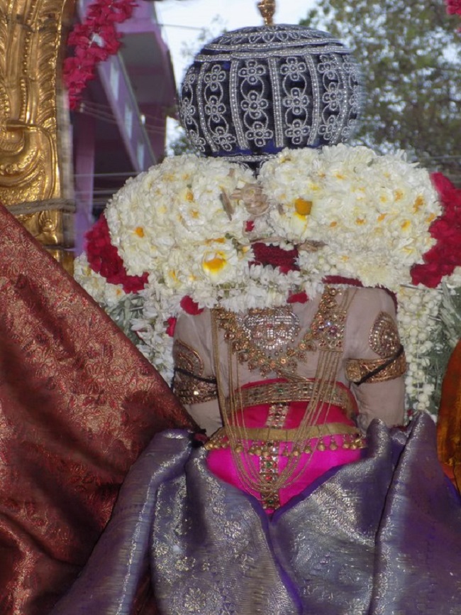 Sriperumbudur Swami Ramanujar Masi Thiruvadirai Purappadu15