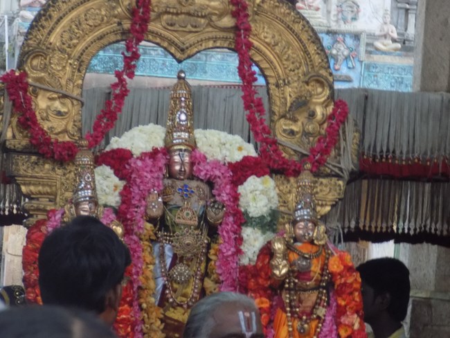 Sriperumbudur Swami Ramanujar Masi Thiruvadirai Purappadu4