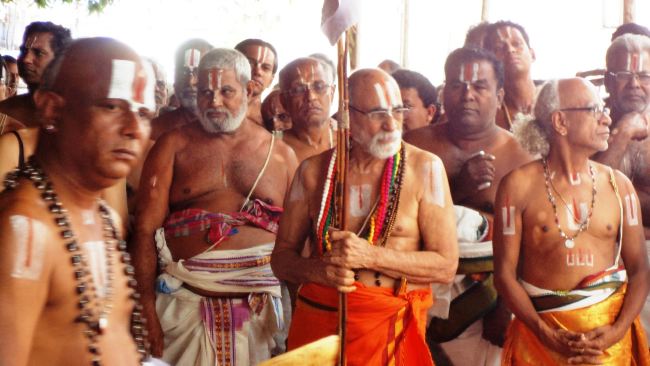 Sriperumpudur Embar Jeeyar Thirunakshatra Utsavam 2015 2015 -03