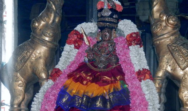 Sriperumpudur Sri Adhikesava PErumal Masi Kadai Velli Purappadu  2015 -05