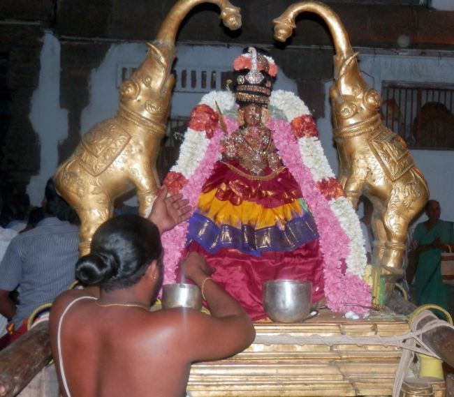 Sriperumpudur Sri Adhikesava PErumal Masi Kadai Velli Purappadu  2015 -12