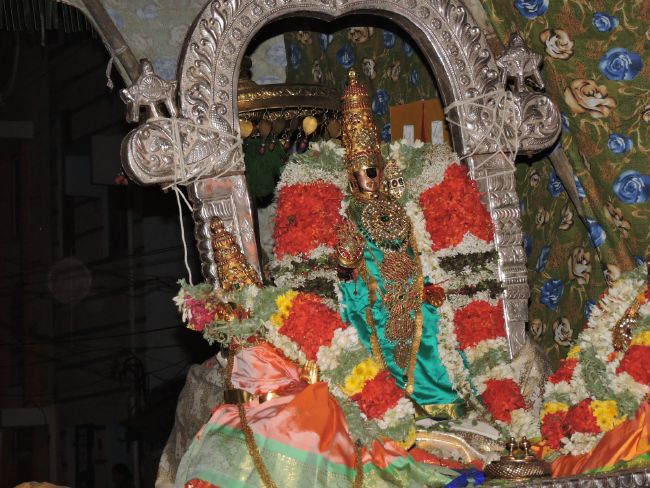 Srirangam Adhi Brahmotsavam Thiruchivigai  2015 -33