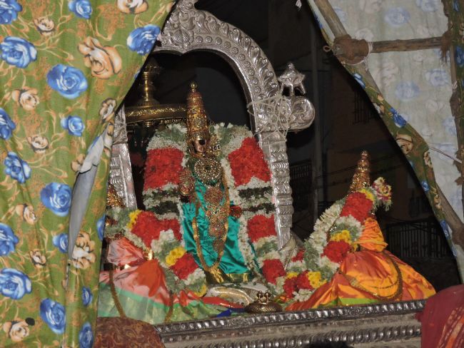 Srirangam Adhi Brahmotsavam Thiruchivigai  2015 -34