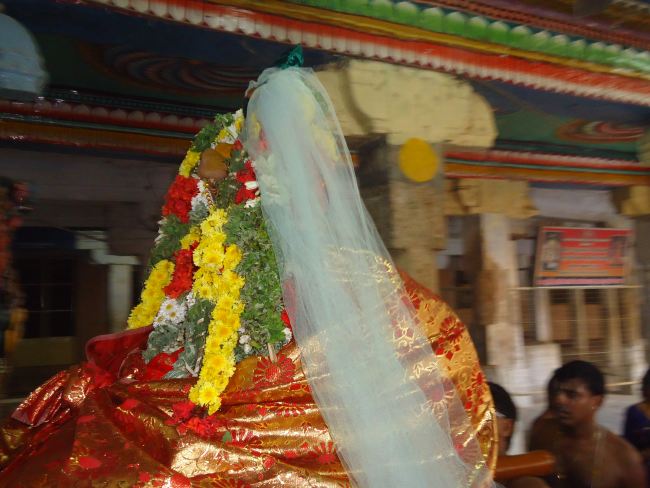 Srirangam Kovil Sri Kulasekara Azhwar Thirunakshatra  Utsavam  2015 -01