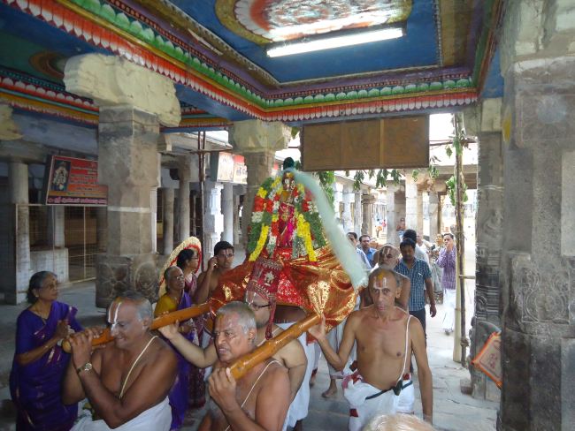Srirangam Kovil Sri Kulasekara Azhwar Thirunakshatra  Utsavam  2015 -16