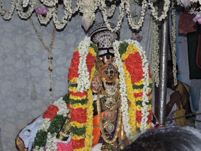 Srirangam Namperumal Jeeyapuram to Srirangam THirumbuka 2015-1 (10)
