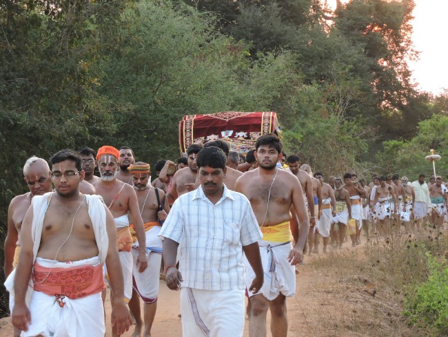 Srirangam Namperumal Jeeyapuram to Srirangam THirumbuka 2015-1 (32)