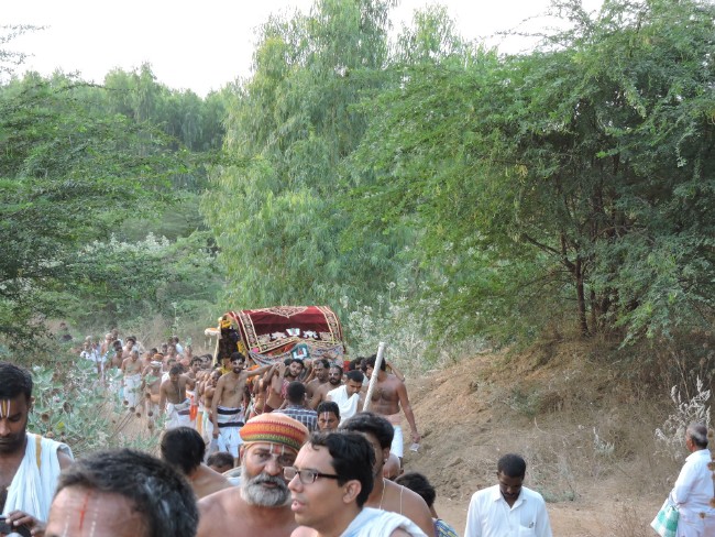 Srirangam Namperumal Jeeyapuram to Srirangam THirumbuka 2015-1 (39)
