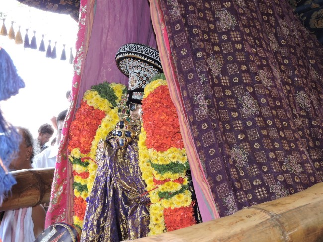 Srirangam Namperumal Jeeyapuram to Srirangam THirumbuka 2015-1 (4)