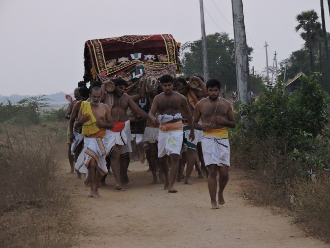 Srirangam Namperumal Jeeyapuram to Srirangam THirumbuka 2015-1 (46)