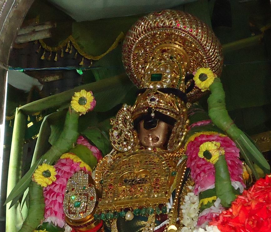 Srirangam Namperumal Masi Theppam
