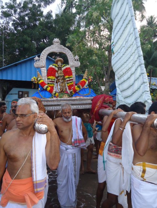Srirangam Ranganathaswami Temple  Masi Theppotsavam Day 8-2015-02