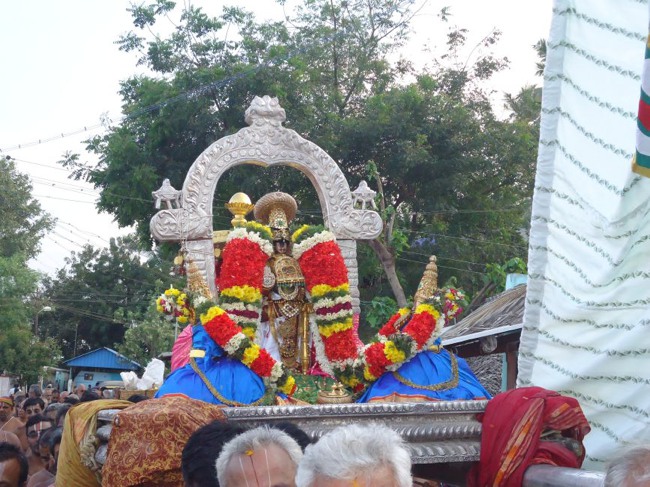 Srirangam Ranganathaswami Temple  Masi Theppotsavam Day 8-2015-07