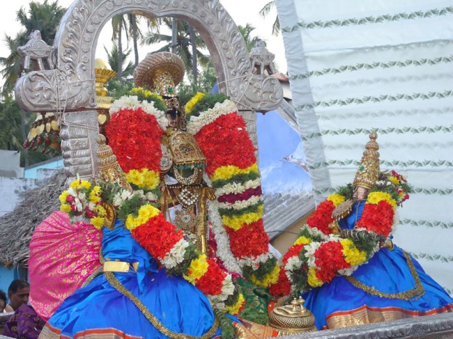Srirangam Ranganathaswami Temple  Masi Theppotsavam Day 8-2015-08