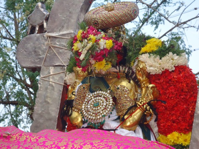 Srirangam Ranganathaswami Temple  Masi Theppotsavam Day 8-2015-10
