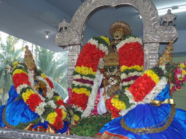 Srirangam Ranganathaswami Temple  Masi Theppotsavam Day 8-2015-14