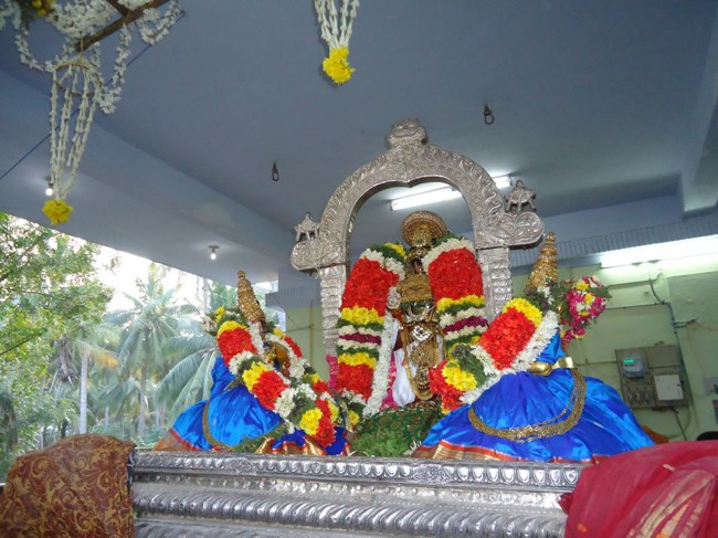 Srirangam Ranganathaswami Temple  Masi Theppotsavam Day 8-2015-15