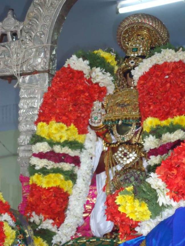 Srirangam Ranganathaswami Temple  Masi Theppotsavam Day 8-2015-16