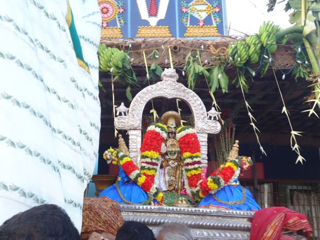 Srirangam Ranganathaswami Temple  Masi Theppotsavam Day 8-2015-21