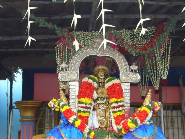 Srirangam Ranganathaswami Temple  Masi Theppotsavam Day 8-2015-22
