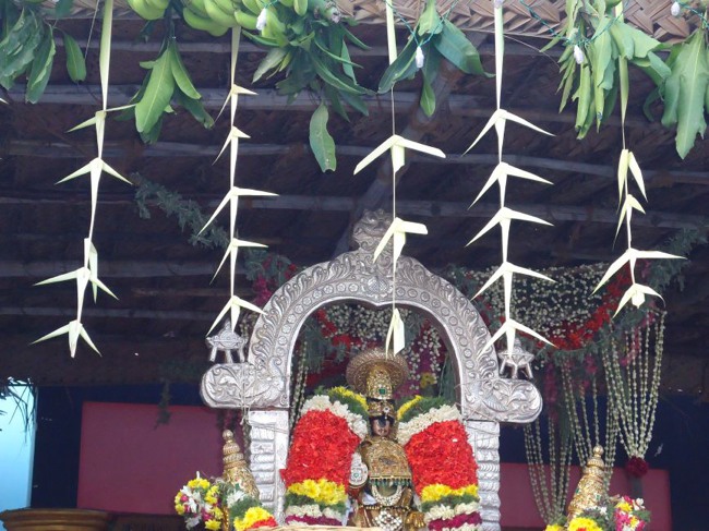 Srirangam Ranganathaswami Temple  Masi Theppotsavam Day 8-2015-23