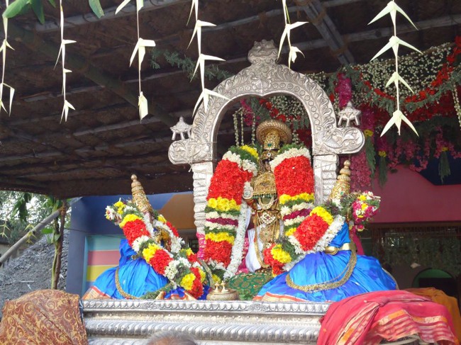 Srirangam Ranganathaswami Temple  Masi Theppotsavam Day 8-2015-24