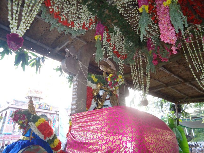 Srirangam Ranganathaswami Temple  Masi Theppotsavam Day 8-2015-27