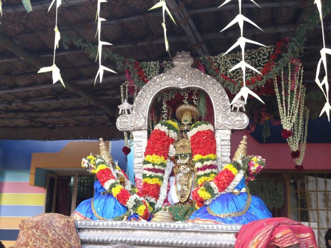 Srirangam Ranganathaswami Temple  Masi Theppotsavam Day 8-2015-28