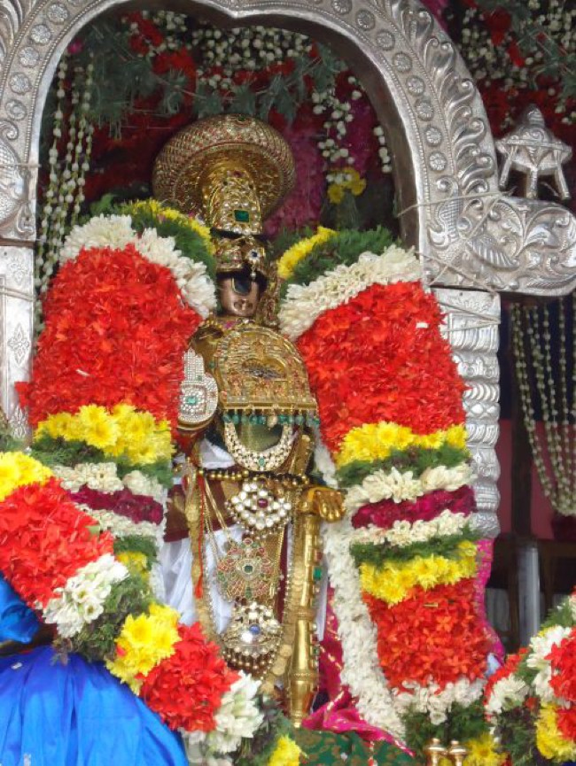 Srirangam Ranganathaswami Temple  Masi Theppotsavam Day 8-2015-30