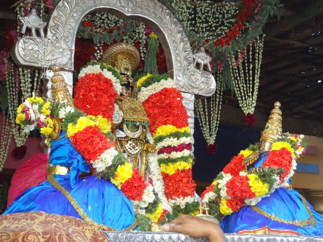 Srirangam Ranganathaswami Temple  Masi Theppotsavam Day 8-2015-31