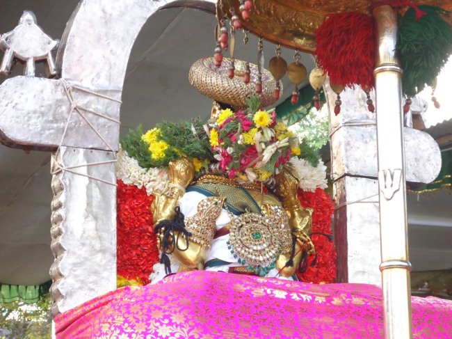 Srirangam Ranganathaswami Temple  Masi Theppotsavam Day 8-2015-35