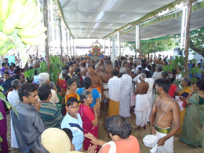 Srirangam Ranganathaswami Temple  Masi Theppotsavam Day 8-2015-36