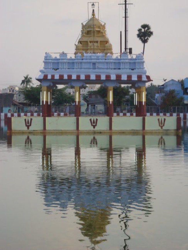Srirangam Ranganathaswami Temple  Masi Theppotsavam Day 8-2015-39