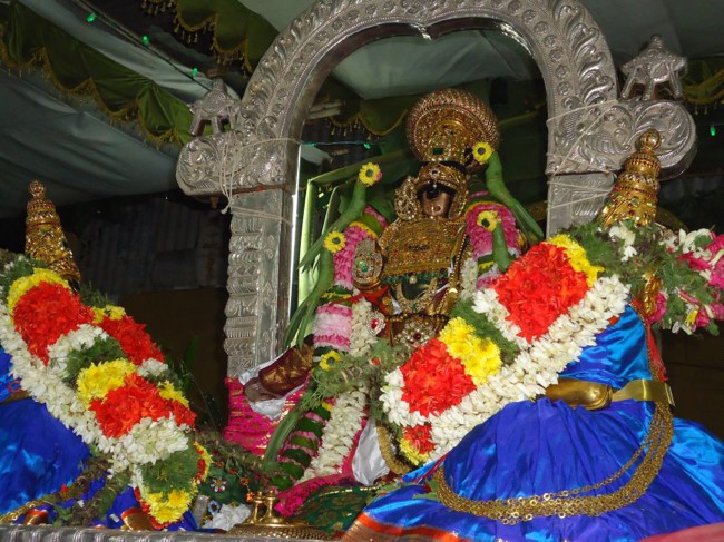 Srirangam Ranganathaswami Temple  Masi Theppotsavam Day 8-2015-40