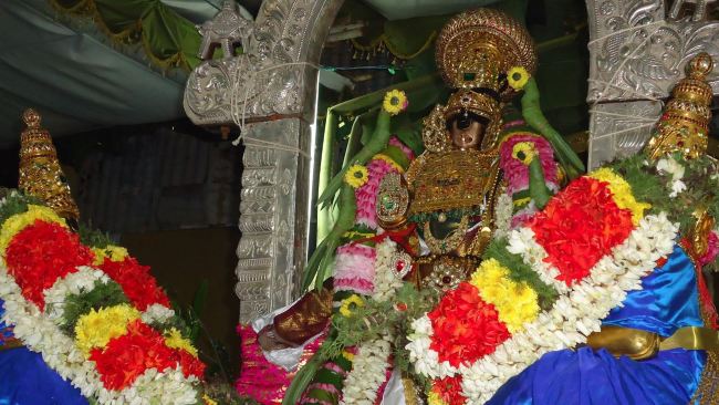 Srirangam Ranganathaswami Temple masi Theppotsavam Theppam 2015 -4