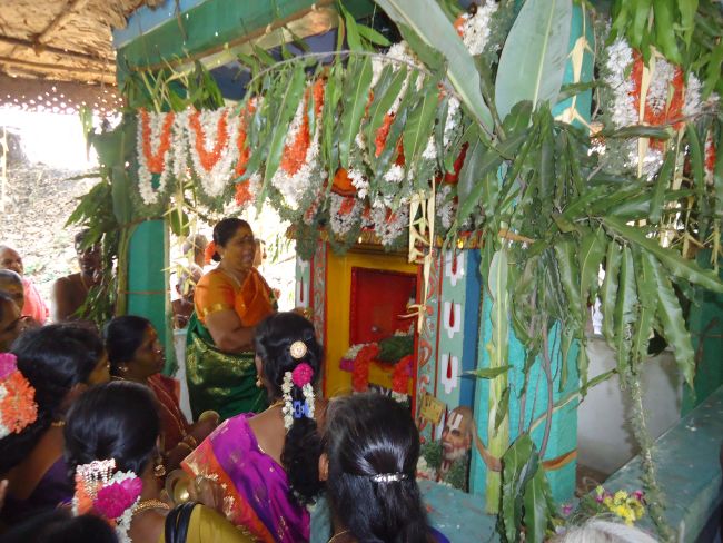 Srirangam Sri Alluri Venkatadri Swami Theertha Utsavam 2015 -21