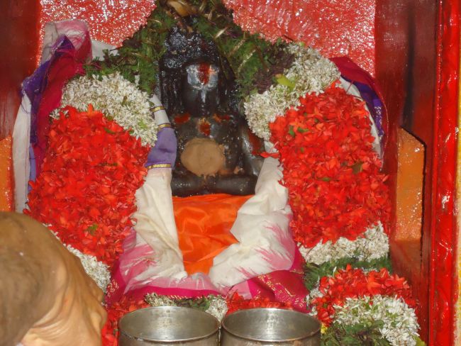 Srirangam Sri Alluri Venkatadri Swami Theertha Utsavam 2015 -37