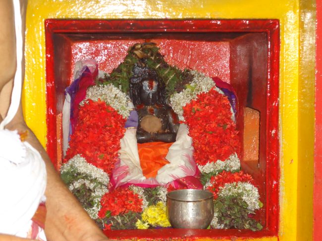 Srirangam Sri Alluri Venkatadri Swami Theertha Utsavam 2015 -44