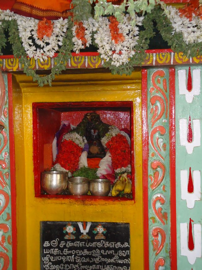 Srirangam Sri Alluri Venkatadri Swami Theertha Utsavam 2015 -46