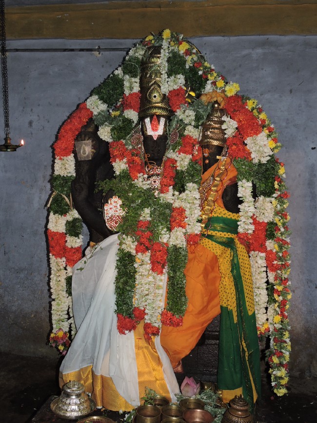 Srirangam Sri Namperumal Brahmotsavam Jeeyapuram purapadu 2015 (13)