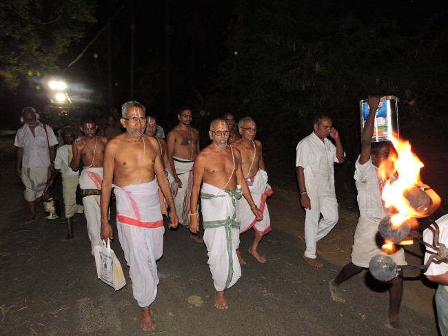 Srirangam Sri Namperumal Brahmotsavam Jeeyapuram purapadu 2015 (20)