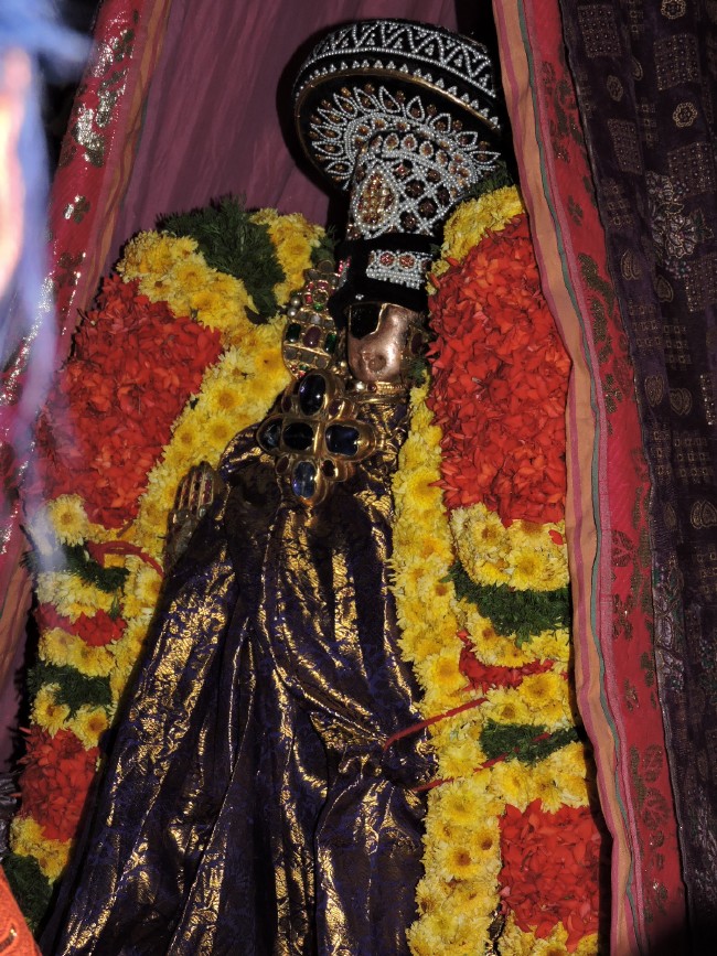 Srirangam Sri Namperumal Brahmotsavam Jeeyapuram purapadu 2015 (3)