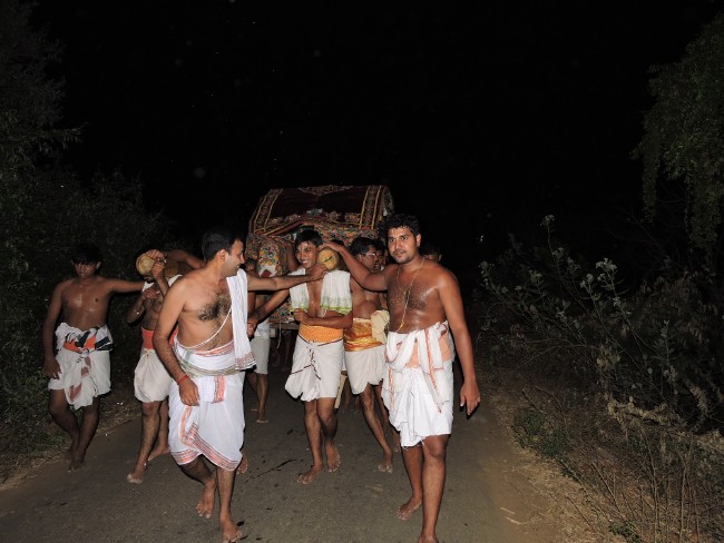 Srirangam Sri Namperumal Brahmotsavam Jeeyapuram purapadu 2015 (54)