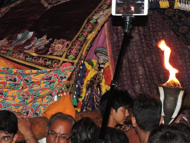 Srirangam Sri Namperumal Brahmotsavam Jeeyapuram purapadu 2015 (9)