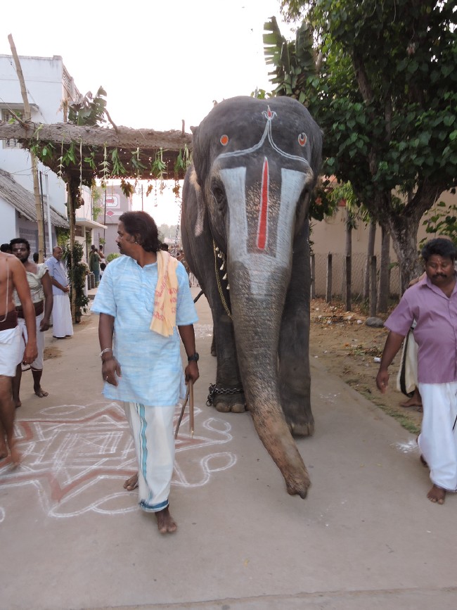 Srirangam Sri Namperumal Jeeypuram Mandagappadi 2015 -1 (10)