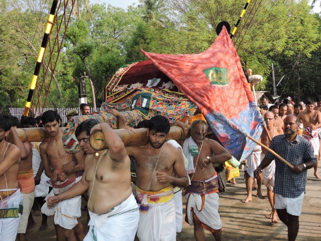 Srirangam Sri Namperumal Jeeypuram Mandagappadi 2015 -1 (37)