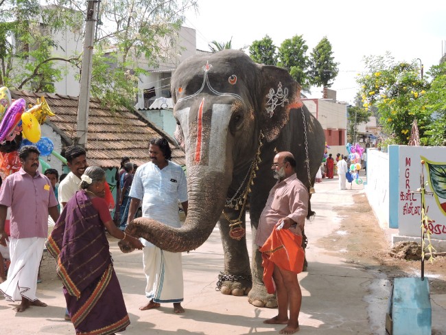 Srirangam Sri Namperumal Jeeypuram Mandagappadi 2015 -1 (52)