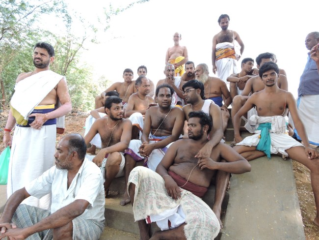 Srirangam Sri Namperumal Jeeypuram Mandagappadi 2015 -1 (55)
