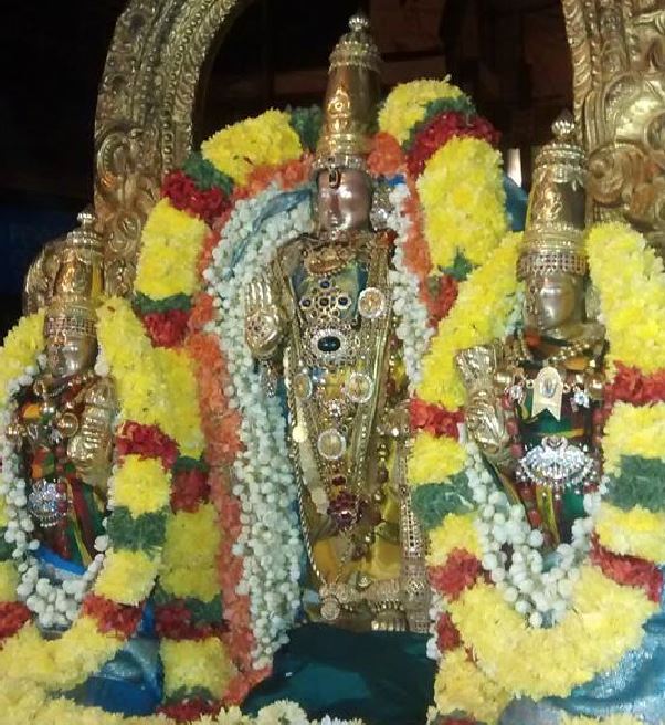 THiruvallur Sri veeraraghava perumal panguni Ammavasai Purappadu 2015