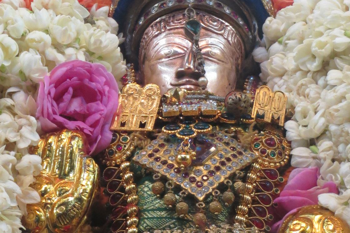 THiruvelukkai Sri Amirthavalli Thayar Masi Purappadu 2 2015